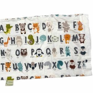 ABCs Toddler Pillowcase